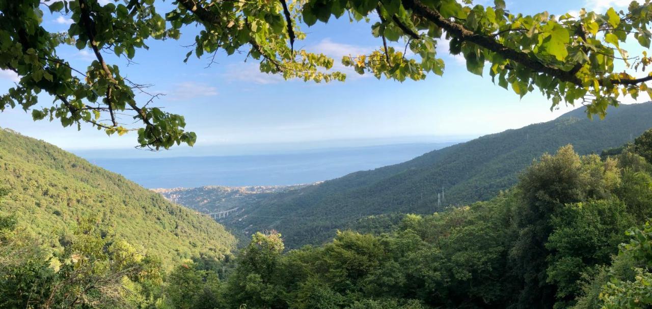 Appartamento Ai Piedi Della Pigna San Remo Zewnętrze zdjęcie